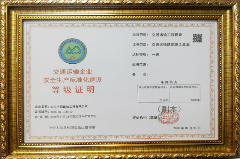 安全标准化等级