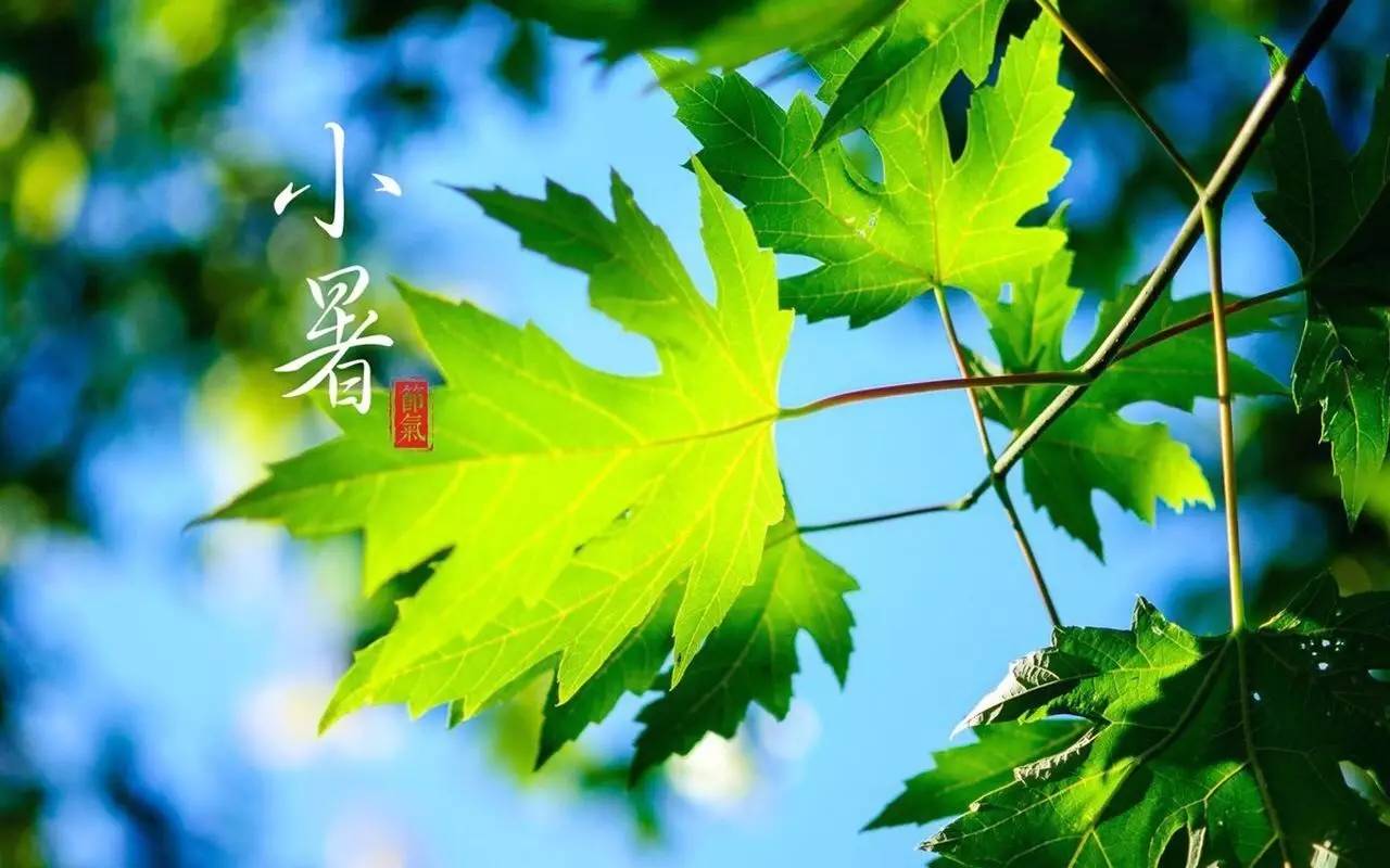 1625652785927454.jpg src=http___img.mp.sohu.com_upload_20170707_ff9ba647ecfb46caab7b854a21823d5b_th.png&refer=http___img.mp.sohu.jpg