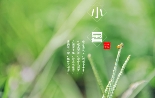 “小暑”天，注意防暑