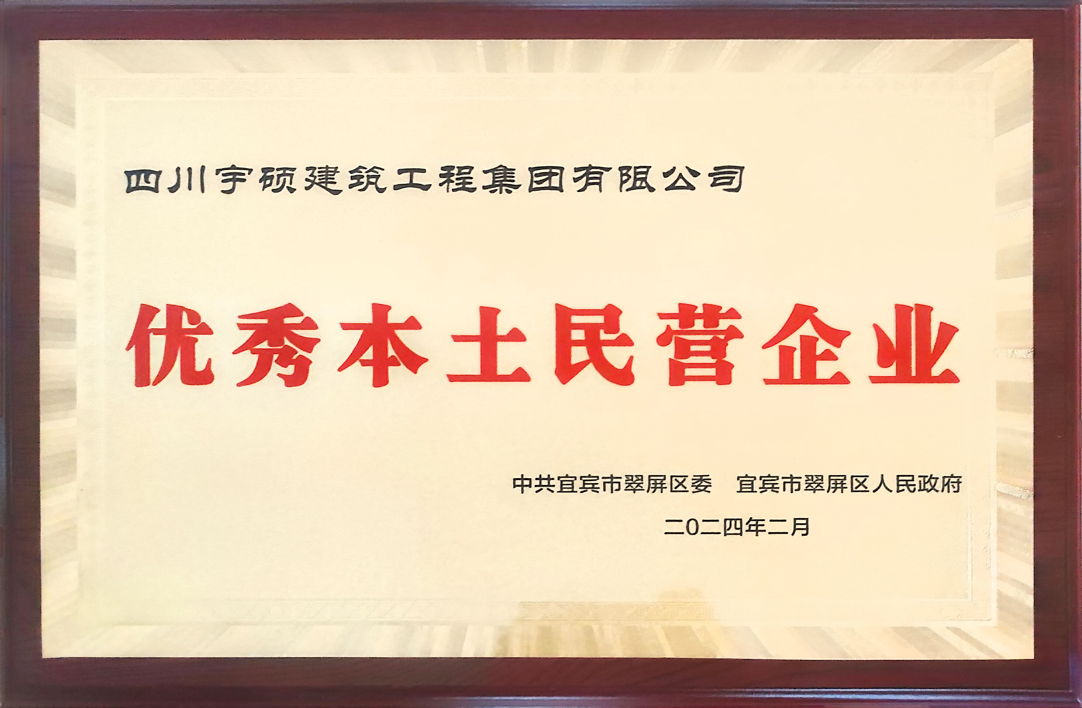优秀本土民营企业