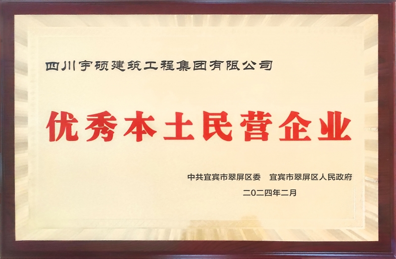 优秀本土民营企业